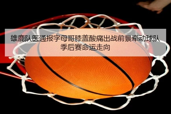 img_1782497452740_1746_1_700.jpg