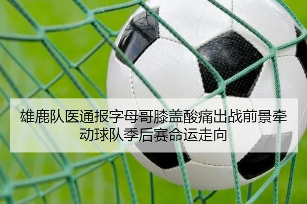 雄鹿队医通报字母哥膝盖酸痛出战前景牵动球队季后赛命运走向