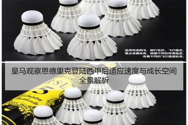 皇马观察恩德里克登陆西甲后适应速度与成长空间全景解析